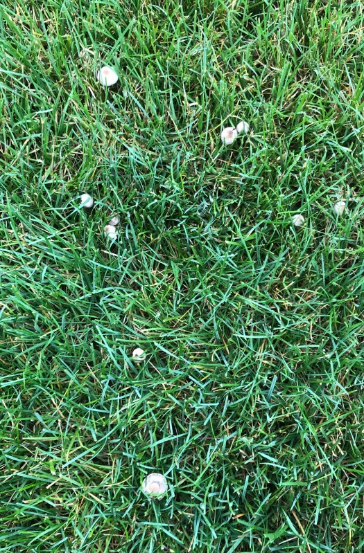 3F735A4B-A14B-4872-A35D-F8956F6A6840