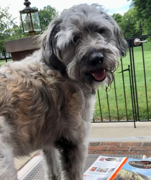 4480CF90-B0BA-4136-8B95-3573024EA177