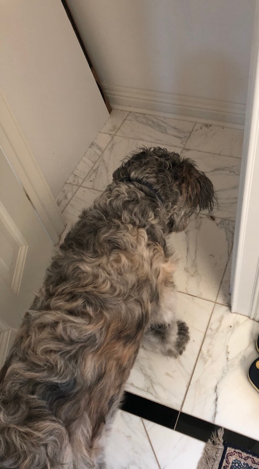 497D3191-B5B3-46C0-993E-01BB1225BCAB