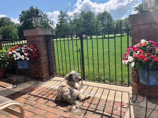 4ECF4BA6-7165-48B0-94DC-0AAD83654DDF