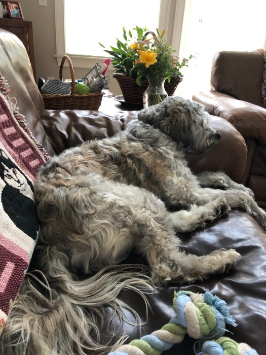 52E6E37C-4FDD-4954-8BFA-27A8839614DD