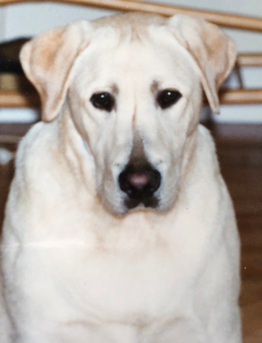 55E02166-0818-40D2-AFAF-8FD84B0827D5