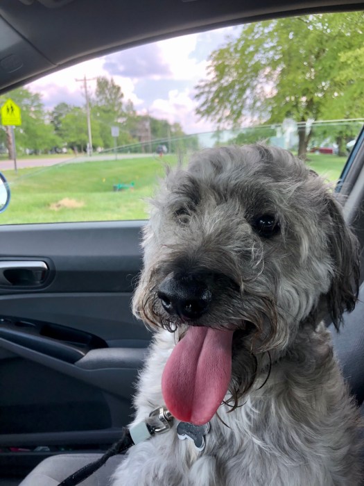 565DBD61-A35F-4C53-A5DD-F8E9899A74C1