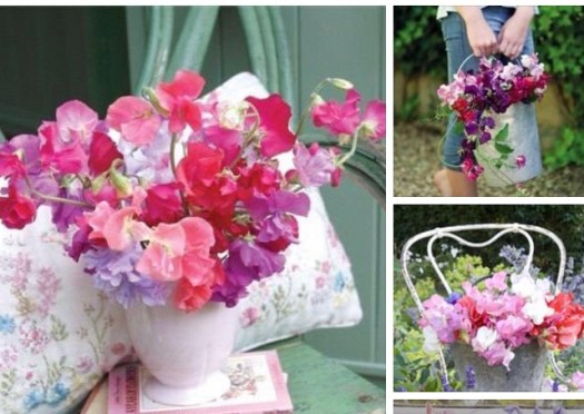 5DE6CC15-5961-45EE-AB6F-0907B2AAA0DD