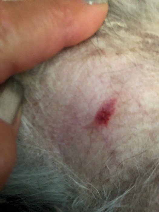 5F024273-8B85-43D7-B5F9-5CF58CCA65D2