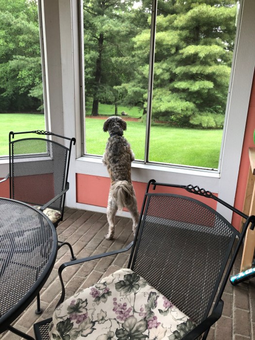 5F92127F-965F-43AE-9081-CAEBDE03160D