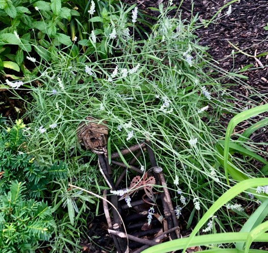 62CE9F5B-32E2-48CC-8144-43FE2A9D829A