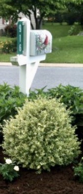 63394D49-18FE-4325-A8DD-0613C9C44B30