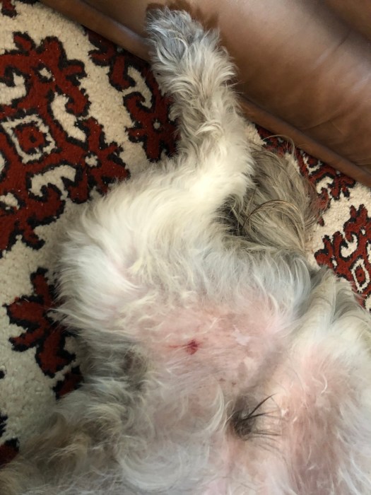 664967F3-DE0C-47EB-8F9D-03868D8CF7FA