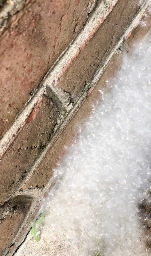 689897E0-8FC3-4C5E-B6DE-030E91202FD6