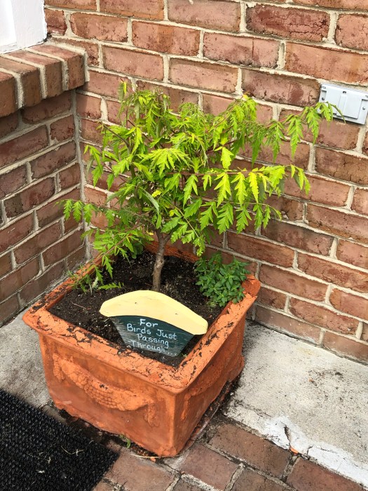 68D0C478-FE81-4E97-96BB-A66075DDF900