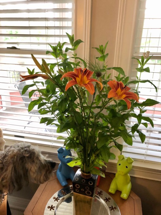 6F5B3201-F38C-4093-AB37-2ECF5EC3DF33