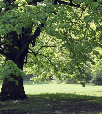 714CD27A-DF4F-4753-84CC-50B761B83144