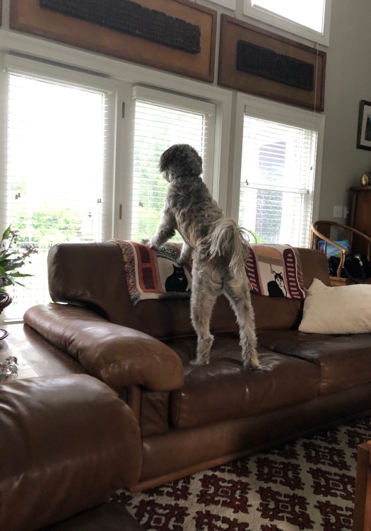 75D57015-3F77-469B-BC0C-779D0D24A48E