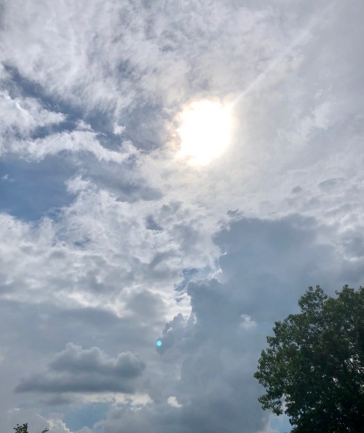 800BCD21-174C-4376-936C-F670C2B158C0