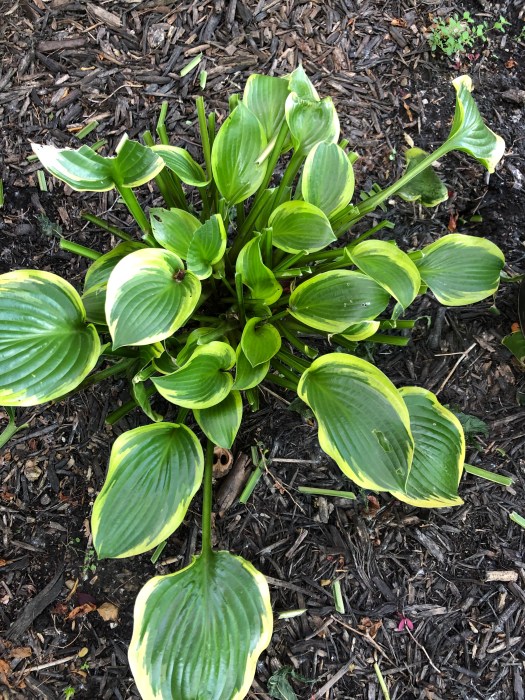 8089A07B-9046-491C-BAEB-CC638A807497