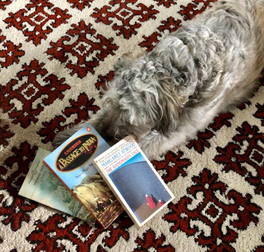 80957E25-884A-4A05-87CB-F0482B8BE10A