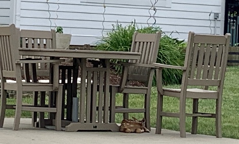 84F1AA9B-CBB8-4917-8F30-E692166ED3A4