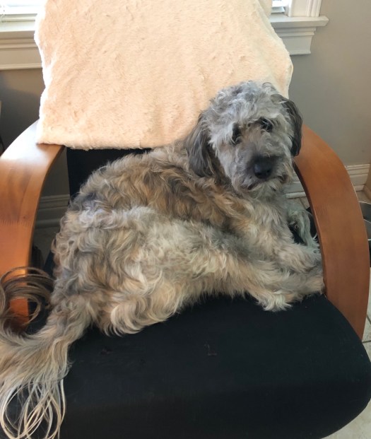 8F7505BE-CD2B-4EEC-B6F1-E2873E069CBD