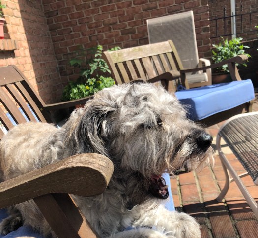 900E75EF-2D8C-4E9B-918E-3FD9789307B0