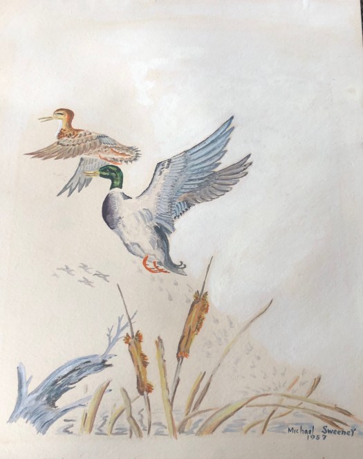 904937B8-E4E9-4F5D-A2DB-DBEB1F8DB6BB