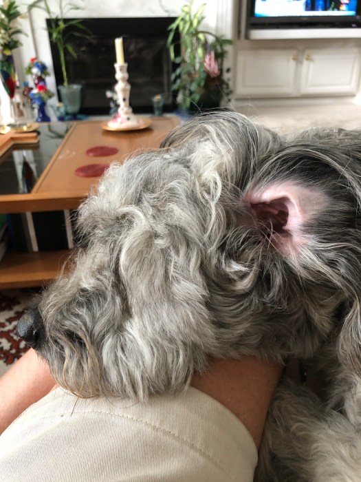 918500CF-5768-44A8-B91D-D7EC5DD5F2E4