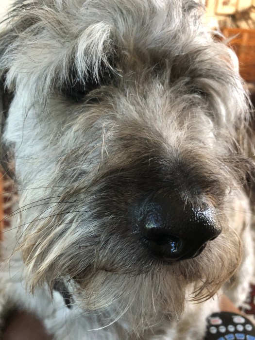 9234E488-B489-431A-8F80-B38C28ACE672