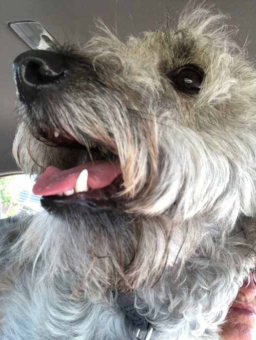 92A25FBC-1350-4595-AE5A-3ECE986809F4