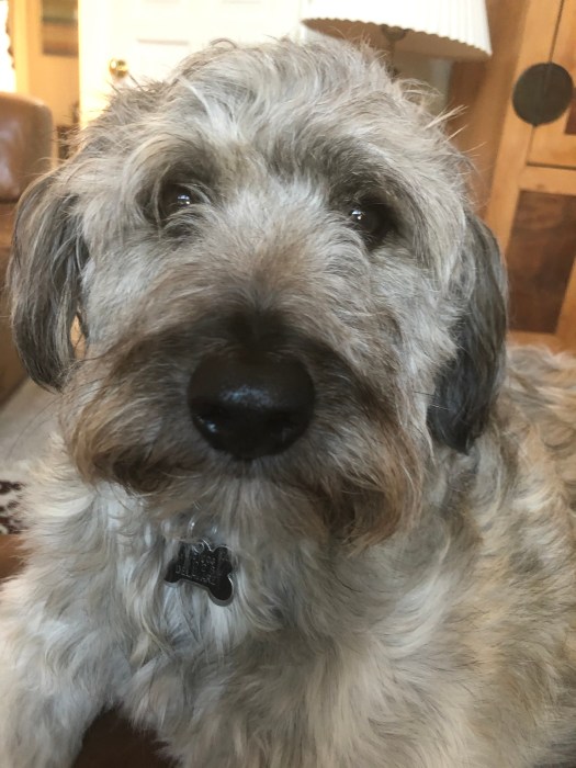 A1EE40CE-DC6A-49B8-B10C-079DEF8F154B