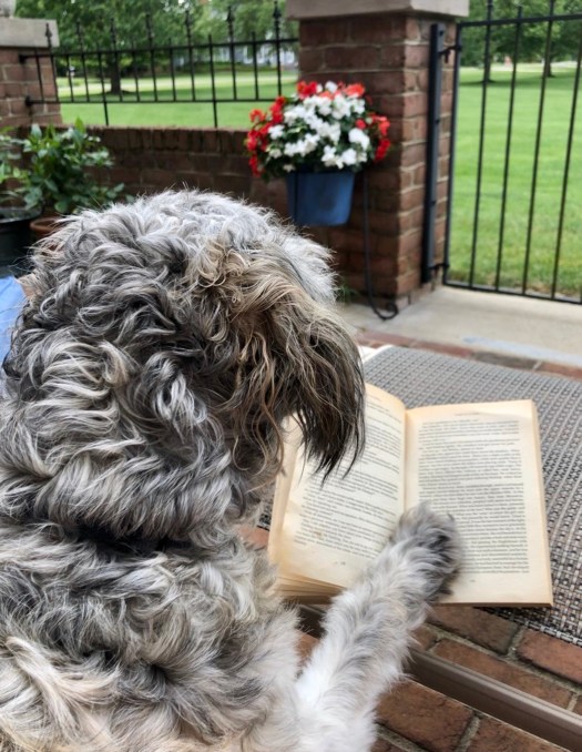 A304C65E-5B05-4C35-8479-3CA86F8A4DFF