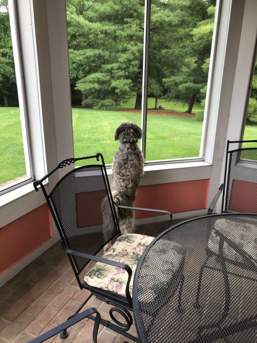 A564A4D4-E6A2-4554-9B7B-6730BC67F8E5