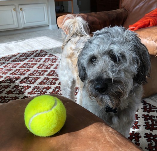 A7B94028-11E5-4A6F-9201-24F3833BD1F1