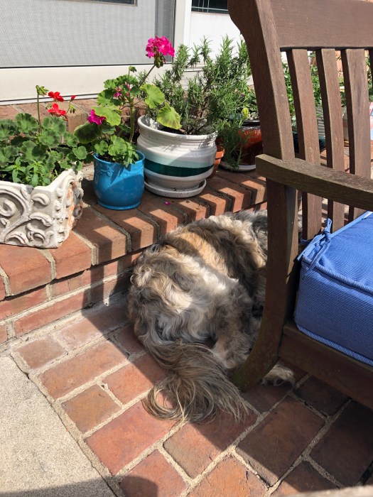 ADCBE968-9562-4D5B-A240-E4255134A369