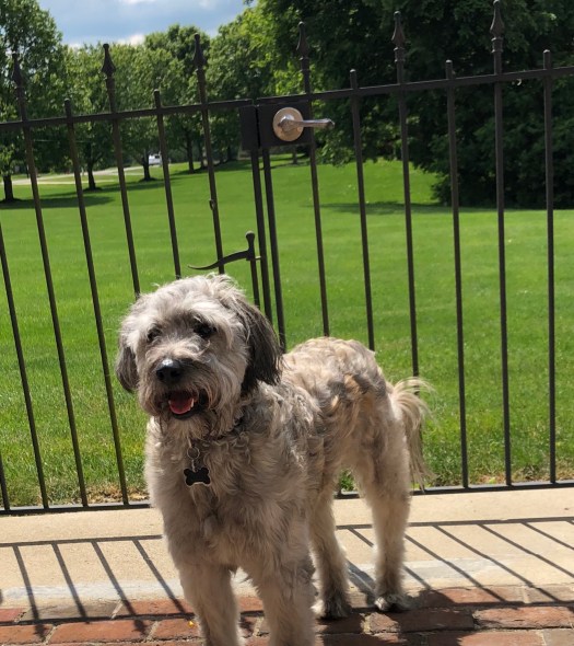 AE6AB8BC-C9B1-4831-B686-2A0CBC475F40