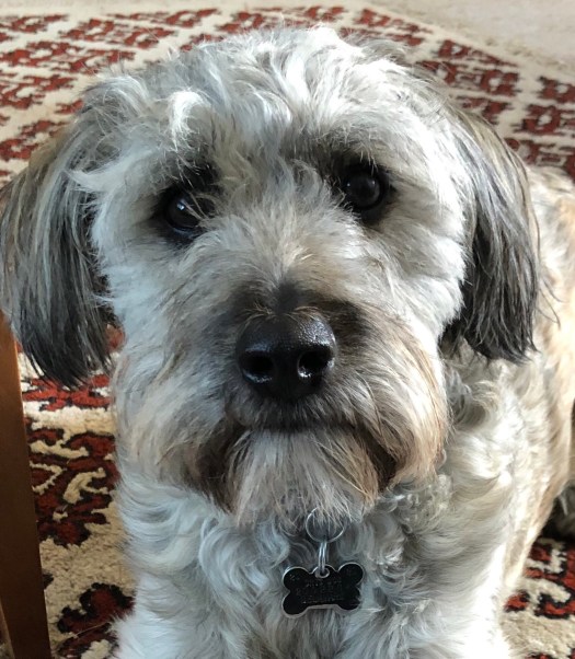 AE916D05-F79D-45DF-A34D-83C56DC4B446