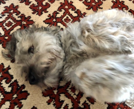 AF6C7035-B1F5-46ED-9780-A7FFC07F0416