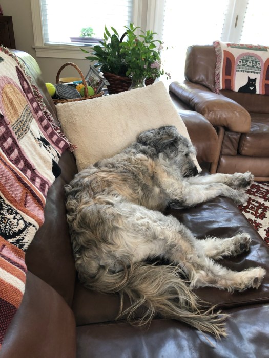 AF6F5E5B-22EB-4EC1-8B43-6F30B1671E02