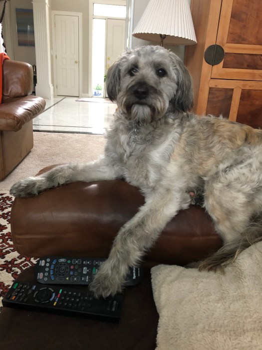 AFD8780B-EDF7-40D8-BF24-7C1A5956830B