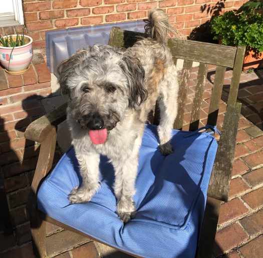 B07BC9BC-030F-41CA-BF72-884271F9A0FA