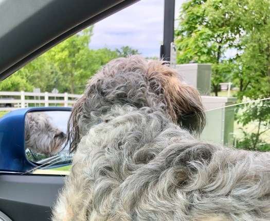 B9D1F4F6-5406-45FA-B452-27BC5E518FFA