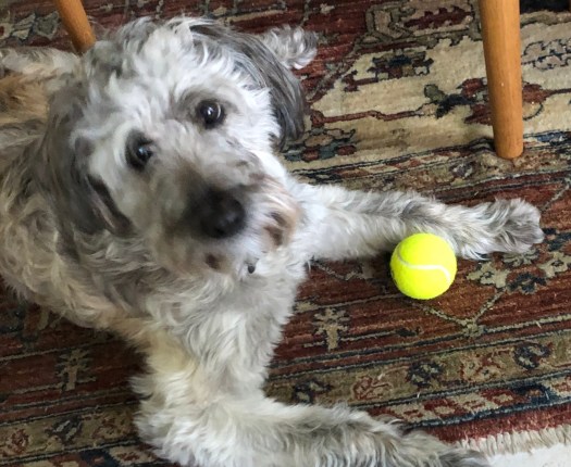 BD7D0CC4-F3D0-4BE3-B18E-1B157EF61961