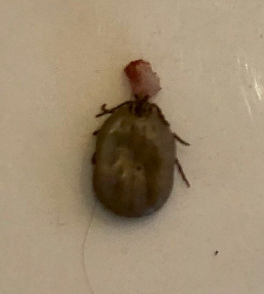 C6292A8E-4A48-42F3-8006-5D2C5AFAE75E