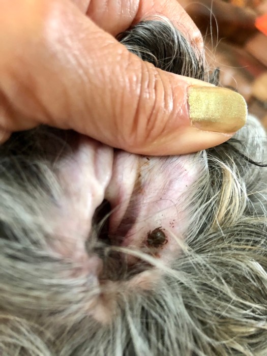 CBF6B1B5-6003-4E0A-81B2-6CBACC46F6AF