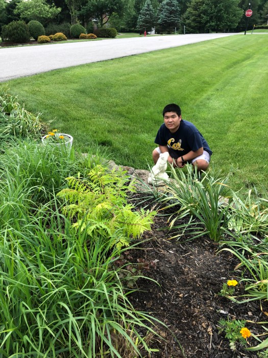 CCB83B40-5962-445E-95C0-9DE82DA09789