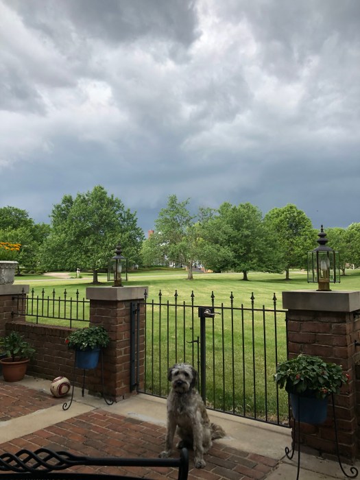 D8E35B89-0BE5-4F2C-A668-E20B6F25A57D