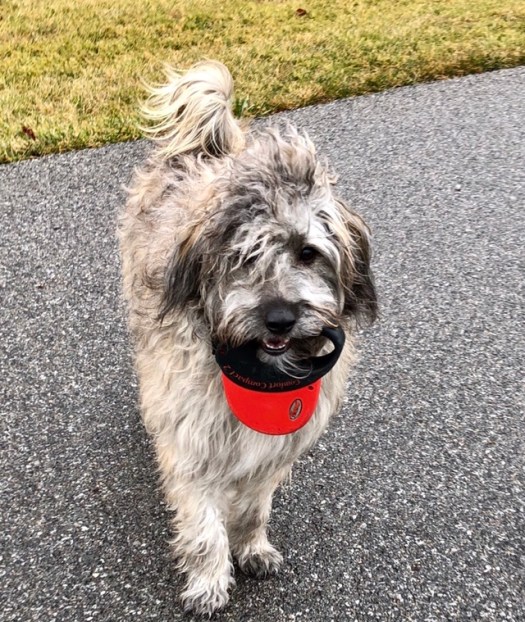 DACBBAE7-2218-4B9F-87A3-190098CEB66A