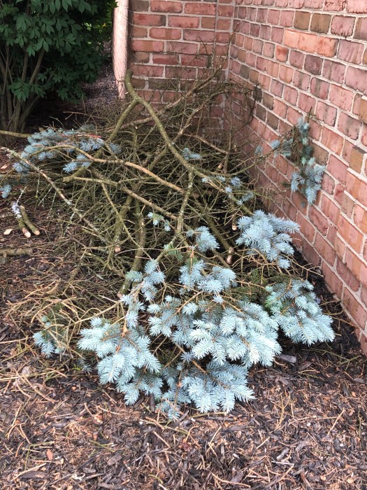 E7E0231E-5298-4EE2-B4FA-90ED056B031B