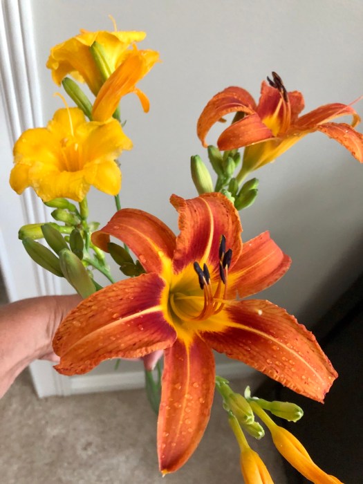 EBDB3305-D227-454B-ABFD-33C008E9DD6D