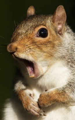 F034732C-86BC-4DB2-86CF-1625B66CED74