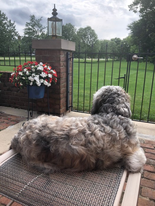 F64DF0EF-B634-4EE4-A7F9-CB96D4D486A4